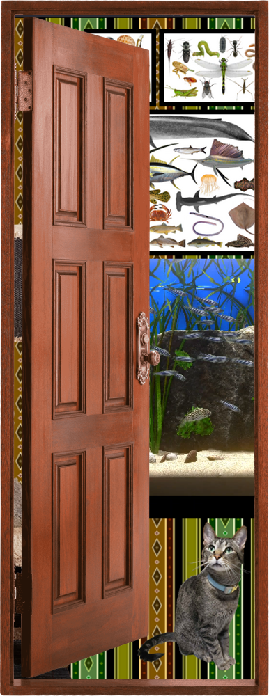 Door to Home Page